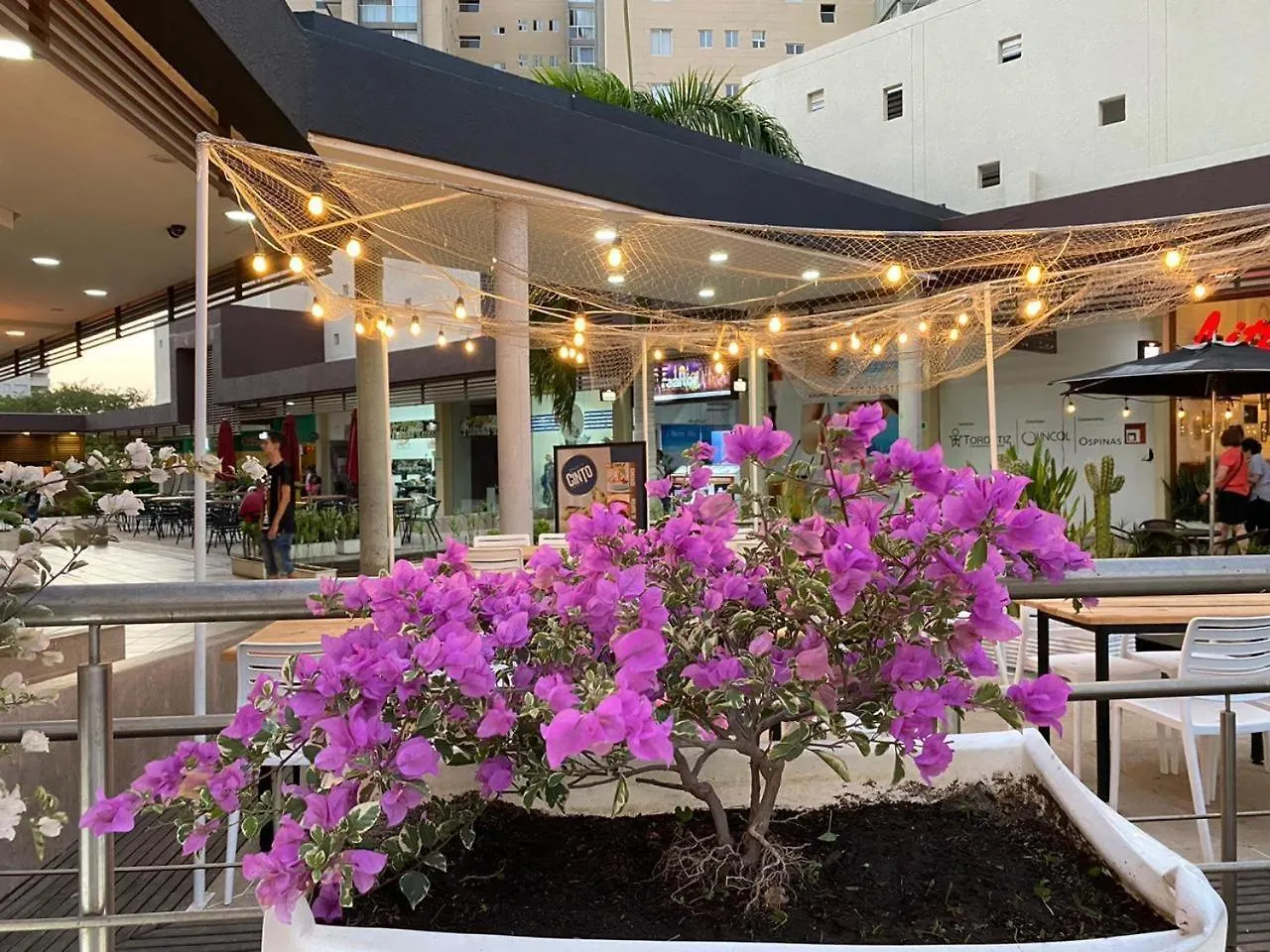 Santa Marta Apartamento - Condominio Zazue Colombia